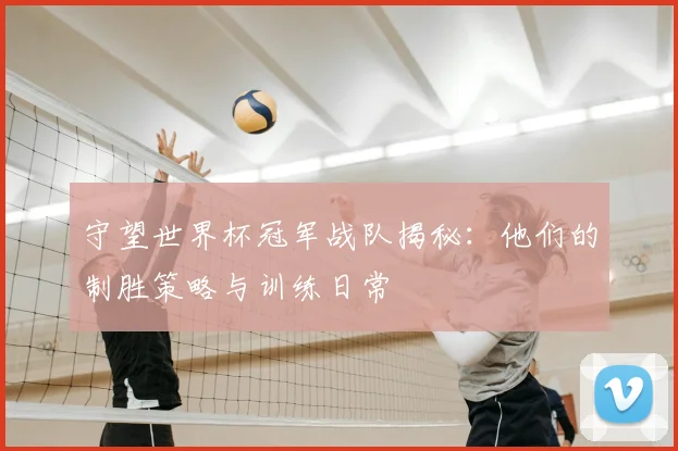 守望世界杯冠军战队揭秘:他们的制胜策略与训练日常
