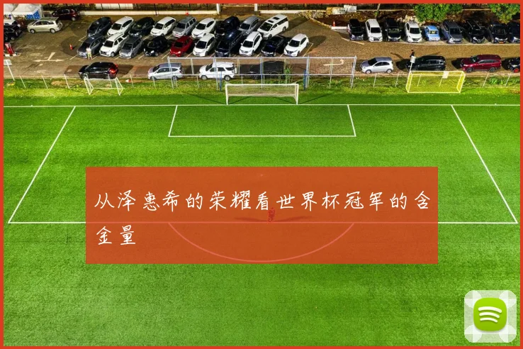 从泽惠希的荣耀看世界杯冠军的含金量
