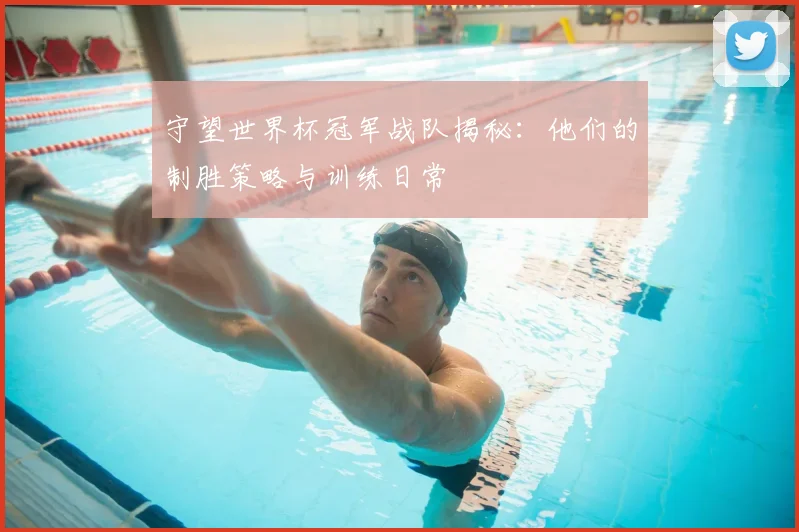 守望世界杯冠军战队揭秘:他们的制胜策略与训练日常