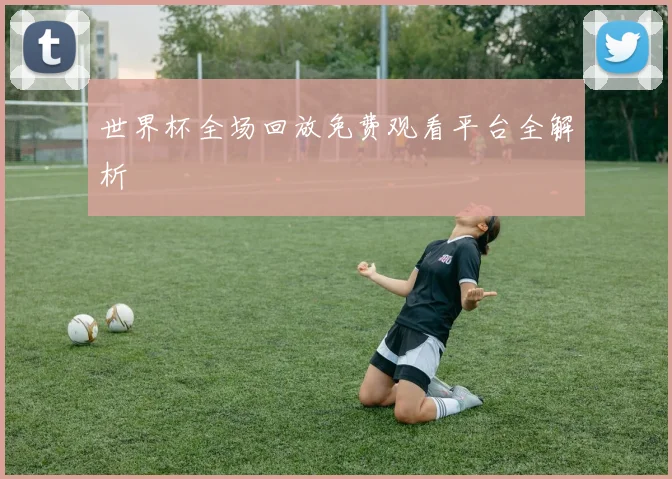 世界杯全场回放免费观看平台全解析