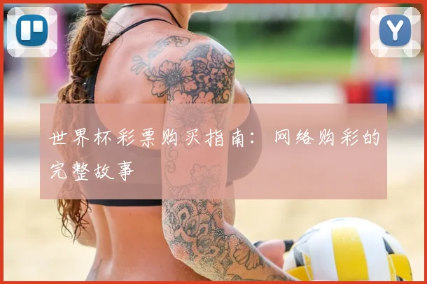 世界杯彩票购买指南：网络购彩的完整故事