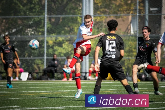 华体育网站平台生态图