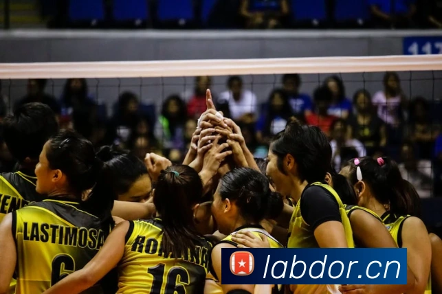 华体育网站APP 封面图